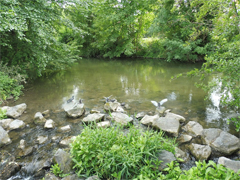 Image : Rive, Nature, Rivière. Utilisation gratuite.